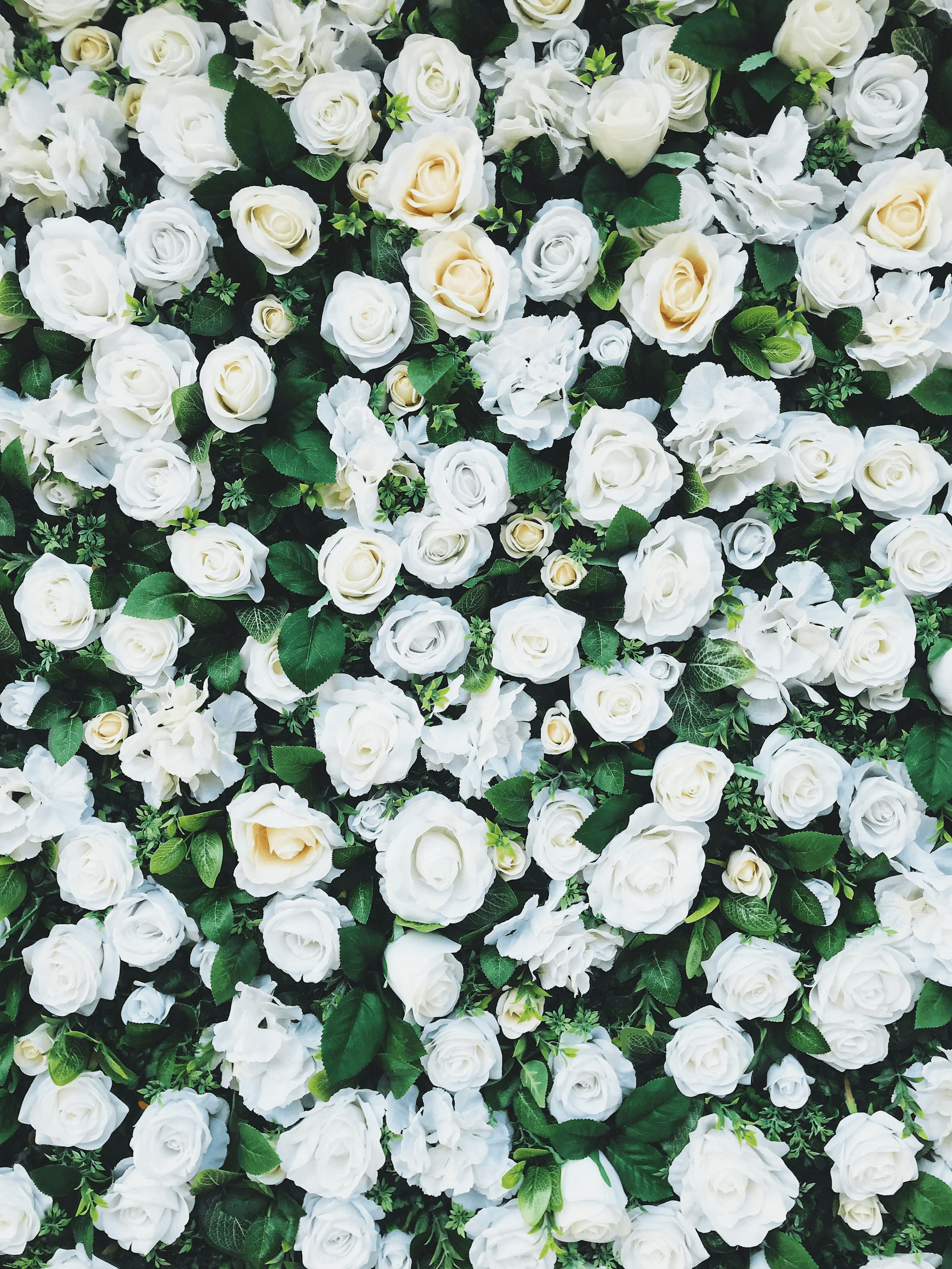 Flowers background image